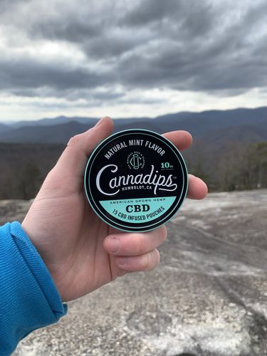 Customer photo review of California Roll 5-Pack