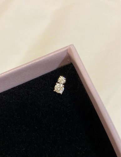 Customer photo review of S925 Classic Stud Earrings