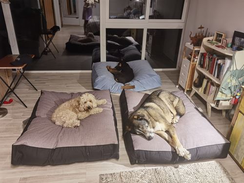 Customer photo review of CAMA ORIGEN AZUL PETROLEO