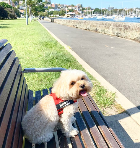 Customer photo review of Custom Name Patch