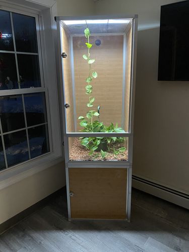 Customer photo review of 2'x2'x4' PVC Panel Reptile Enclosure by Zen Habitats