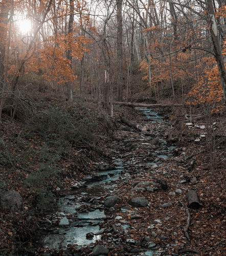 Customer photo review of Ultimate Preset Bundle