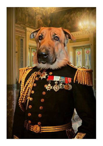 Customer photo review of The Earl - Custom Pet Portrait