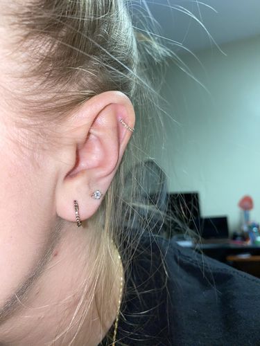 Customer photo review of Micro Paved Gems Hinged Segment Ring