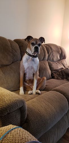 Customer photo review of Meal Variety Pack