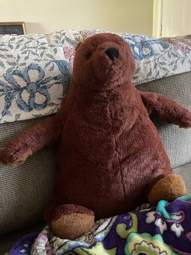 Customer photo review of SKOGGY BEAR