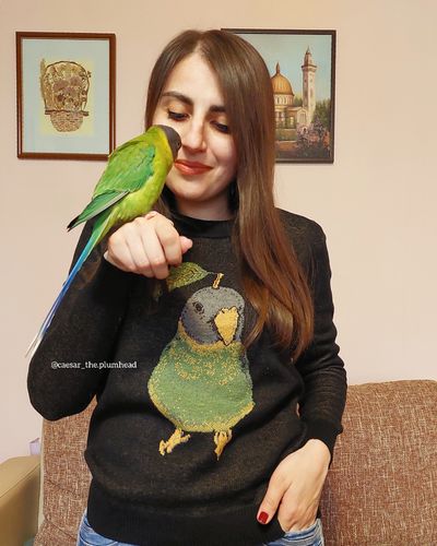 Customer photo review of Full-Body Pet Custom Sweater