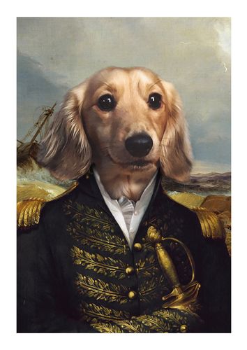 Customer photo review of The Commodore - Custom Pet Portrait