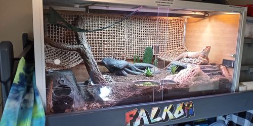 Customer photo review of 4'x2'x2' PVC Panel Reptile Enclosure by Zen Habitats