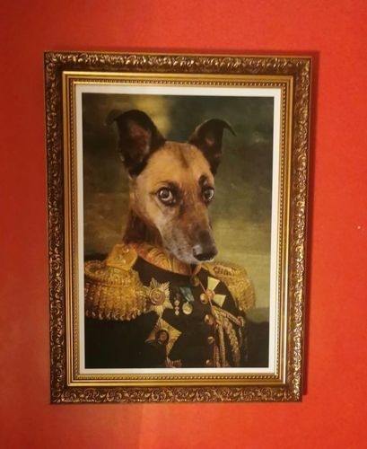 Customer photo review of The General - Custom Vintage Pet Portrait