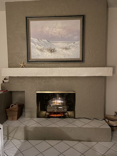 Customer photo review of Dimplex Revillusion 25" Electric Birchwood Log Insert