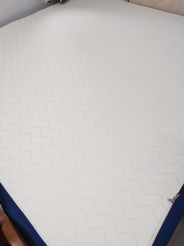 Customer photo review of The Flo Mattress Ergo