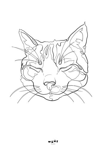 Customer photo review of Woofpalace Digital Artfile