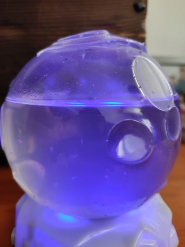 Customer photo review of Aqua Dragons Refill - Eggs