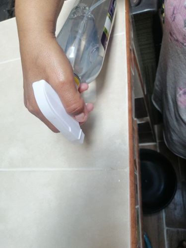Customer photo review of Desmanchador de Boquilla 1000 ml