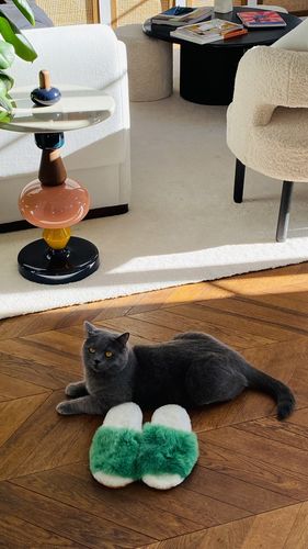 Customer photo review of Amazon Green Slider
