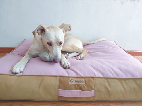 Customer photo review of CAMA ORIGEN PALO ROSA-CAFE