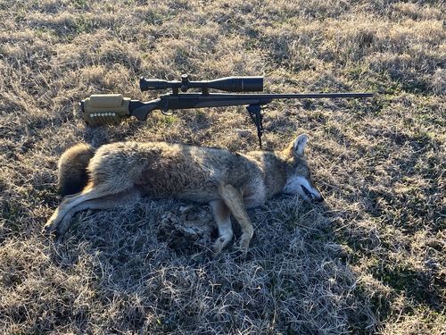 Customer photo review of Sniper 6-24x50mm Scope W Front AO Adjustment. Red/Blue/Green mil-dot Reticle