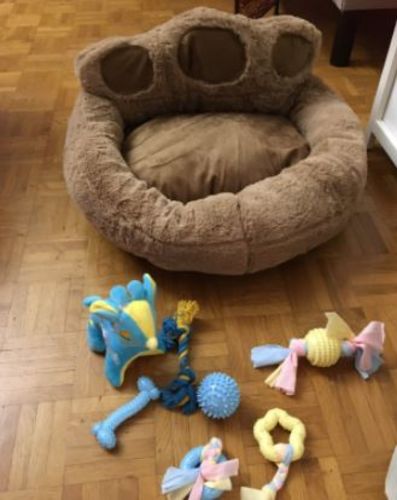 Customer photo review of Pretty Little Paws' Dog/Cat Bed