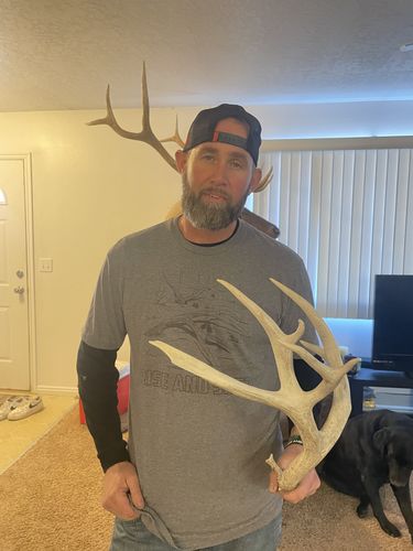 Customer photo review of T-Shirt Subscription