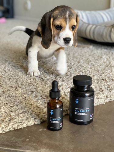 Customer photo review of Resilient + Clarity Bundle