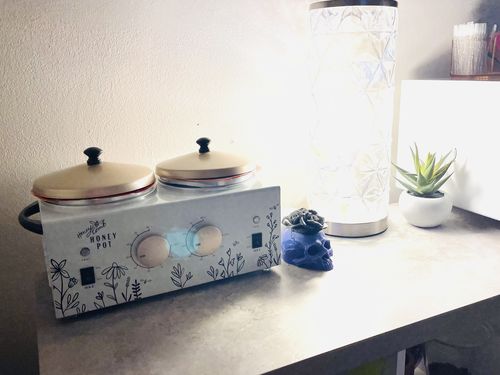 Customer photo review of Double Wax Warmer Honey Pot