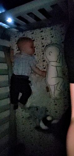 Customer photo review of Birth Pillow Classy One