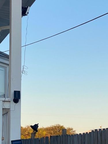 Customer photo review of Solar Pack MAX