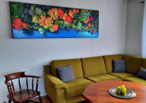 Customer photo review of Leuchtbild | Wald mit Sonnenstrahlen | Panorama