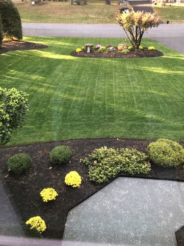 Customer photo review of Protene Performance Starter Fertilizer