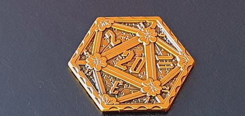 Customer photo review of D20 Coin