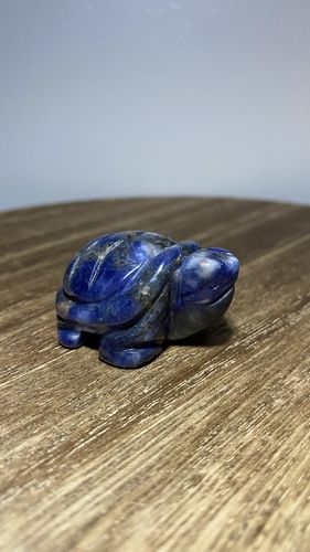 Customer photo review of Sodalite Turtle