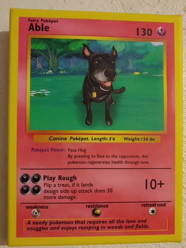 Customer photo review of Product options