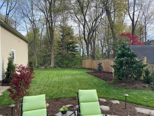 Customer photo review of Protene Performance Spring Fertilizer