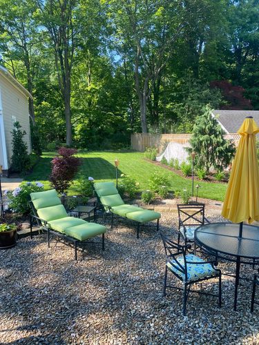 Customer photo review of Protene Performance Summer Fertilizer