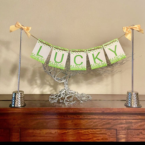 Customer photo review of St. Patricks Day Banner for Celebration Stand
