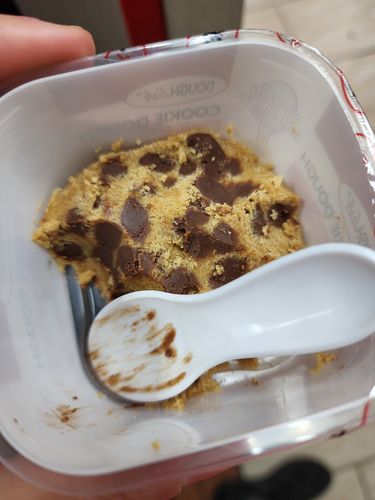 Customer photo review of Doughlish Chocolate Chip Cookie Dough - 4.5oz (128g)