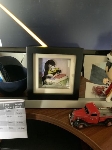 Customer photo review of Cat