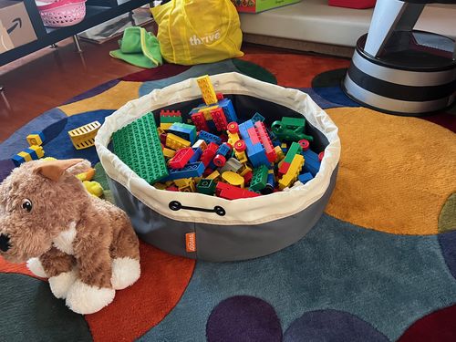 Customer photo review of Medium Toy Storage Bag - Seattle Gray