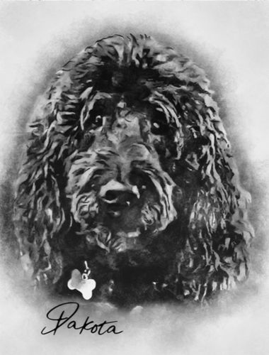 Customer photo review of Personalized Pet Drawing Style Portrait Prints