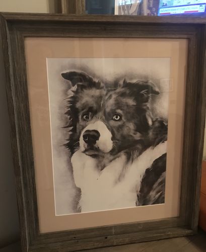 Customer photo review of Personalized Pet Drawing Style Portrait Prints