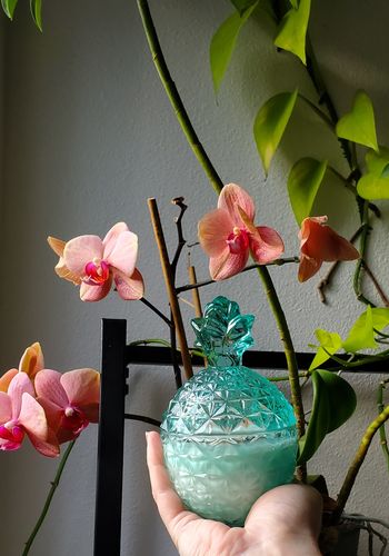Customer photo review of LOST IN TROPICS SHARK TOOTH CANDLE - AQUA