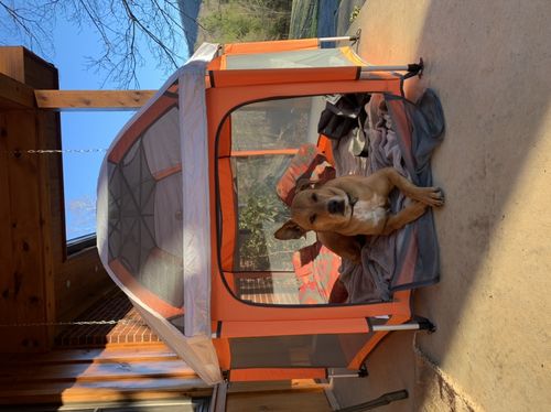 Customer photo review of Sunset Orange Pop N' Go®