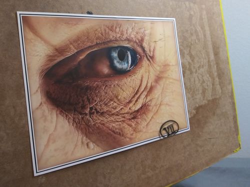 Customer photo review of Classroom in a Box: Textured Skin kit