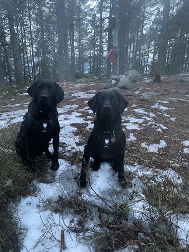 Customer photo review of Ragnar Harness