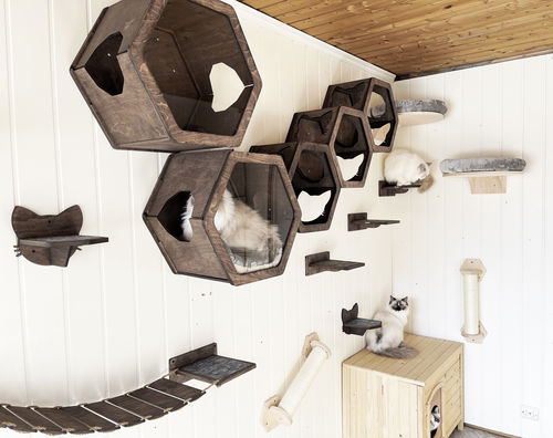 Customer photo review of Hexagon Cat House Dark Walnut
