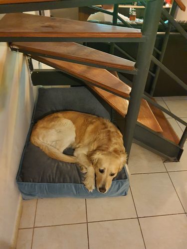 Customer photo review of CAMA ORIGEN GRIS - AZUL PETROLEO