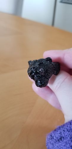 Customer photo review of Viking Berserker Bear Ring