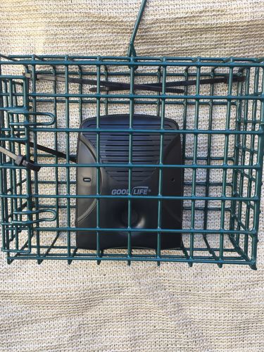 Customer photo review of Dog Silencer® MAX