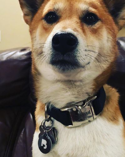 Customer photo review of Black